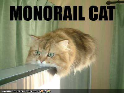 funny-pictures-monorail-cat1.jpg